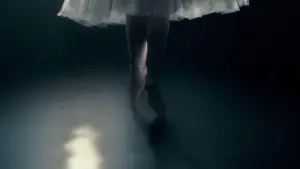 Задник до фильму"Чорний лебідь" #595697