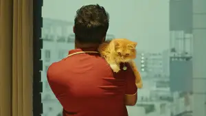 Задник до фильму"Love Sitter" #773115