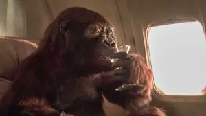 Задник до фильму"Конго" #701571