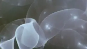 Задник до фильму"Змішані контейнери" #706790