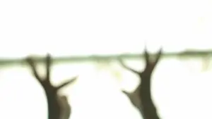 Задник до фильму"" #484927