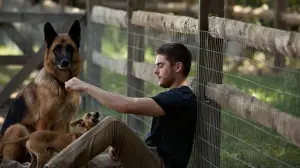 Задник до фильму"Щасливчик" #238195