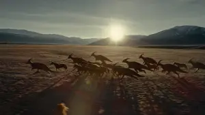 Задник до фильму"Світ Юрського періоду 3: Домініон" #565090