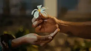 Задник до фильму"Frangipani: The Short Film" #769469