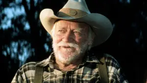 Задник до фильму"Проста історія" #529253