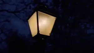 Задник до фильму"Древо життя" #852797