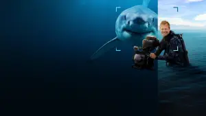 Задник до фильму"Sharks Up Close with Bertie Gregory" #793001