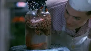 Задник до фильму"" #734947