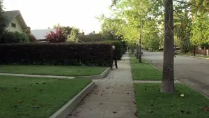 Задник до фильму"Гелловін" #610798