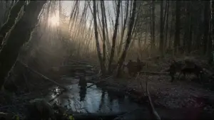 Задник до фильму"Легенда Г’ю Ґласса" #516963