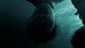 Задник до фильму"Допоможіть" #507579