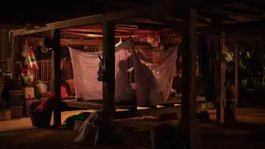 Задник до фильму"" #700395