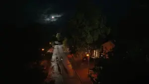 Задник до фильму"Червоний, білий та королівський синій" #178965