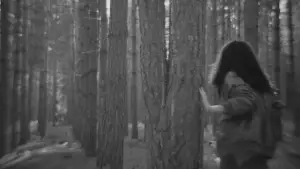 Задник до фильму"Wayfaring Stranger" #789074