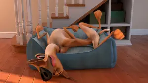 Задник до фильму"Мармадюк" #337067