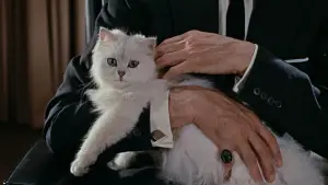 Задник до фильму"007: Із росії з любов’ю" #624415