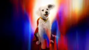 Задник до фильму"Супермен: Спадок" #513444