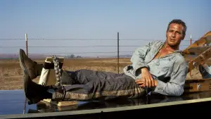 Задник до фильму"Холоднокровний Люк" #754824