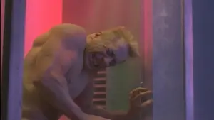 Задник до фильму"Універсальний солдат 2: Брати по зброї" #402758