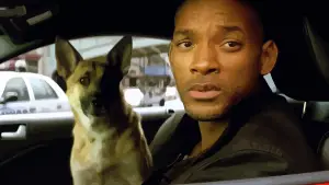 Задник до фильму"Я — легенда" #574914