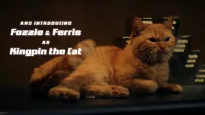 Задник до фильму"Майк і Нік і Нік і Еліс" #795534