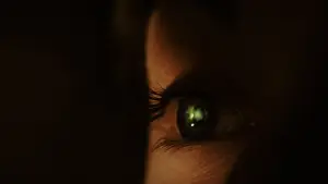 Задник до фильму"Гаррі Поттер і келих вогню" #802003