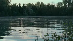 Задник до фильму"Назви мене своїм ім