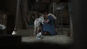 Задник до фильму"" #705198