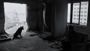 Задник до фильму"" #539000