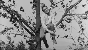 Задник до фильму"The Kid Brother" #768021