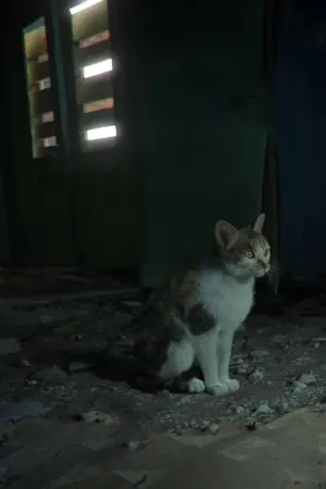 Постер до фильму"" #192918