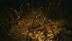 Задник до фильму"" #522809