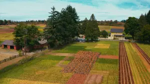 Задник до фильму"Гарбузоголовий" #614572