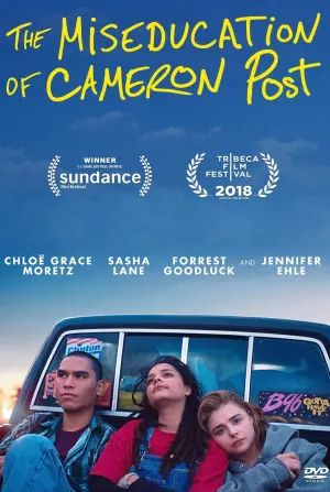 Постер до фильму"Перевиховання Кемерон Пост" #151577