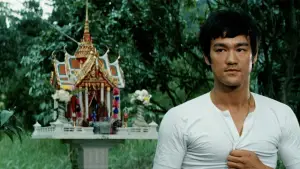 Задник до фильму"Великий бос" #726724