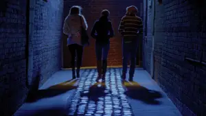 Задник до фильму"Колекціонер 2" #598830