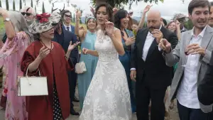 Задник до фильму"Холостяк в Італії" #795937