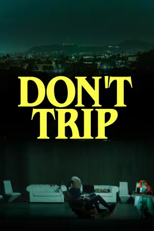 Постер до фильму"Don
