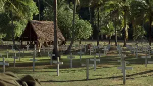 Задник до фильму"Тонка червона лінія" #807346