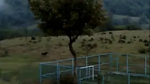 Задник до фильму"" #623381