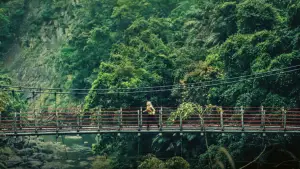 Задник до фильму"" #533241