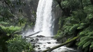 Задник до фильму"" #430503