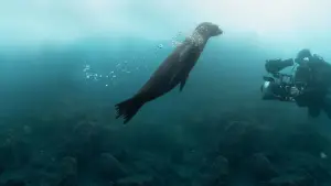 Задник до фильму"" #720075