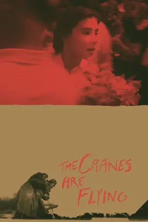 Постер до фильму"Летять журавлі" #181586