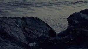 Задник до фильму"" #192924