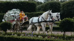 Задник до фильму"Царевна-лягушка 2" #796901