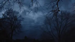 Задник до фильму"Дорослий світ" #698492