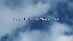 Задник до фильму"Магнолія" #670147