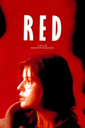 Постер до фильму"Три кольори: Червоний" #752149