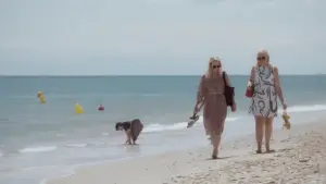 Задник до фильму"On dansera quand même" #803388